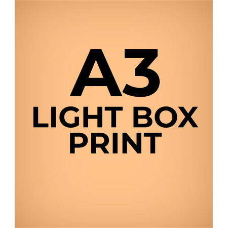 Printed Light Box Film A3 - Ink Jet