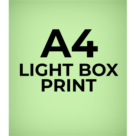Printed Light Box Film A4 - Ink Jet